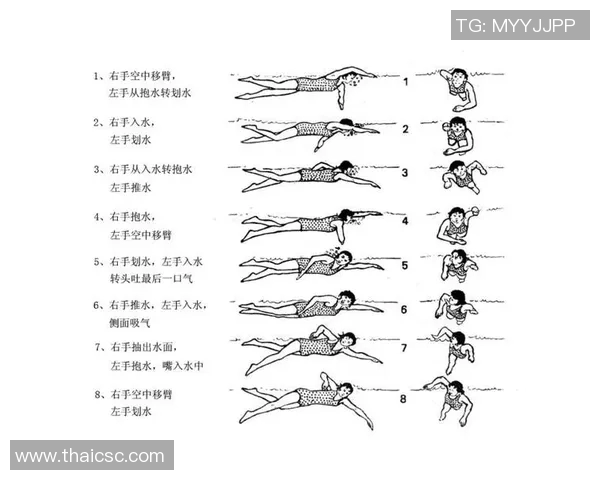 提升自由泳技巧与耐力的系统化训练方法与计划