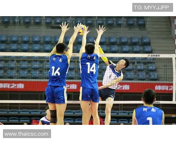 南京排球队实力飙升再创新高引发全国关注与期待