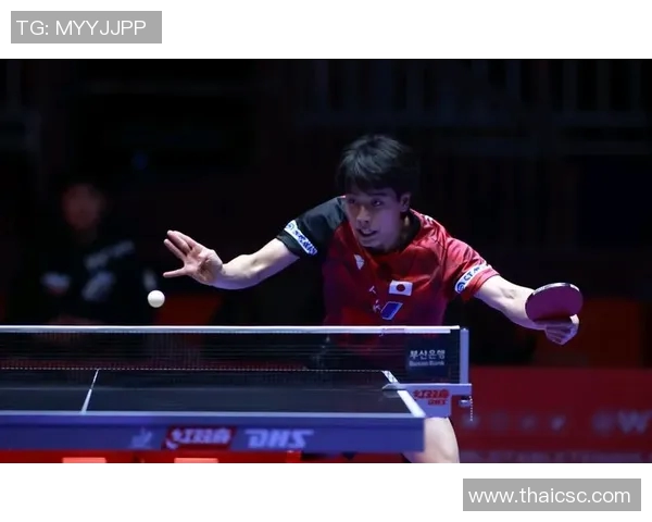 南京乒乓球队实力分析与发展潜力探讨的深度研究