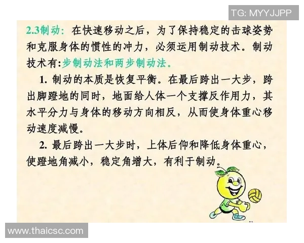 成都排球队反击战术深度解析与实战应用探讨