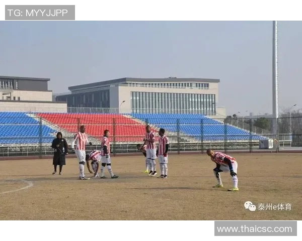 南京足球队耐力分析与训练策略探讨助力球队提升竞技水平