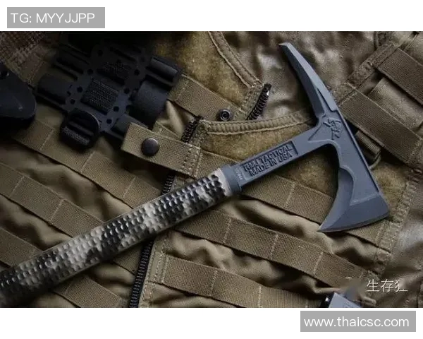 深入解析BLG边路渗透战术体系在英雄联盟中的应用与影响