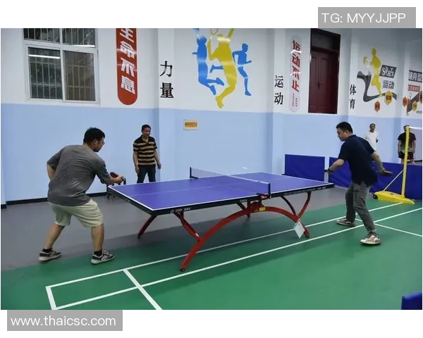 陈敏独家分享乒乓球技巧与心得助你提升球技的秘密宝典